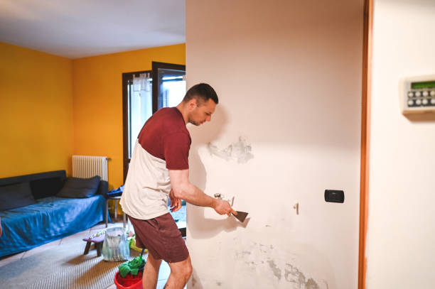 Best Residential Mold Removal  in Lake Ronkonkoma, NY